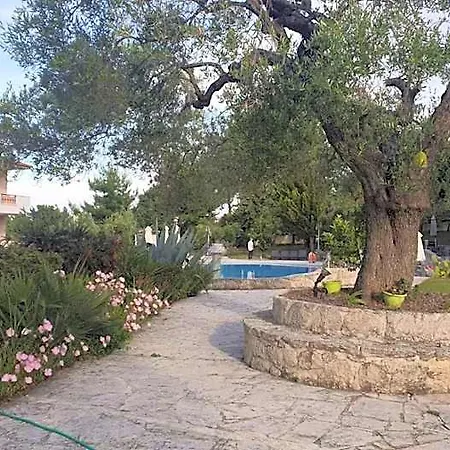 Paradise Hotel 3*
