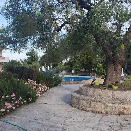 Paradise 3* Kryopigi