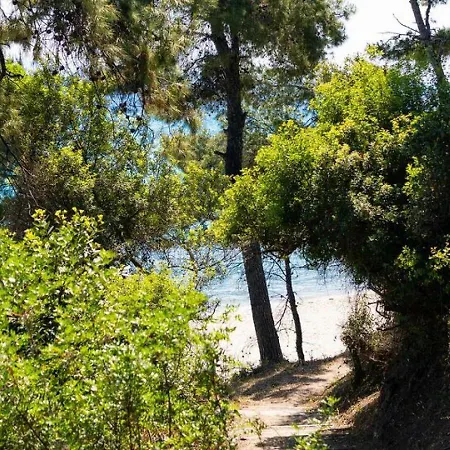 Hotell Paradise Kryopigi